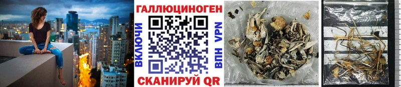 Купить закладки  Волосово  Псилоцибиновые грибы ЛСД 